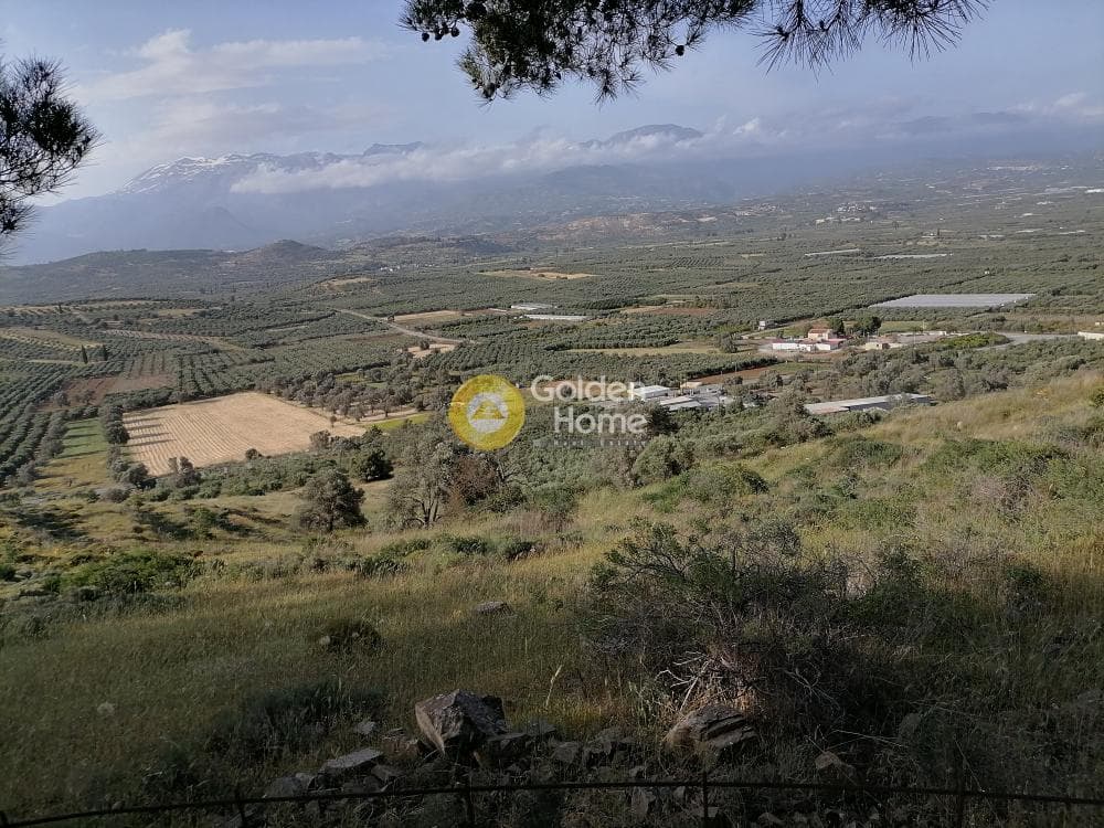 Parcel in Kouses, Moires — Photo 24 of 24