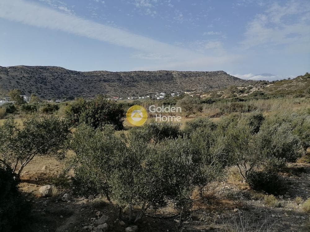 Αγροτεμάχιο στην Μάταλα, Τυμπάκι — Φωτογραφία 11 από 24