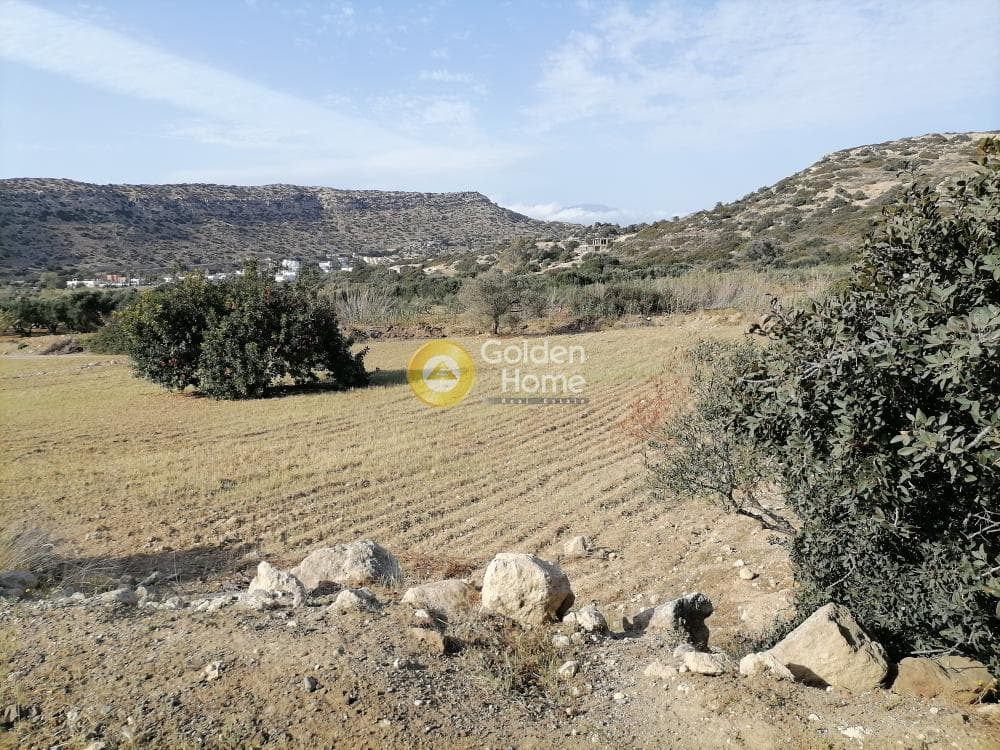 Αγροτεμάχιο στην Μάταλα, Τυμπάκι — Φωτογραφία 2 από 24