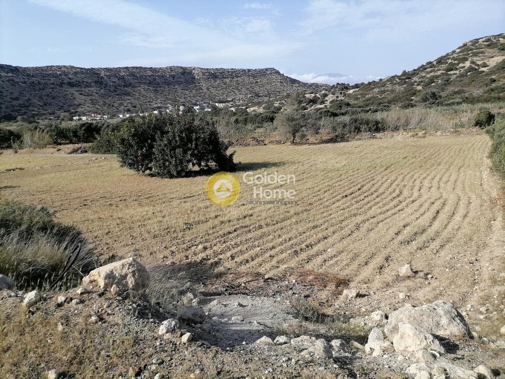 Αγροτεμάχιο στην Μάταλα, Τυμπάκι — Φωτογραφία 1 από 24