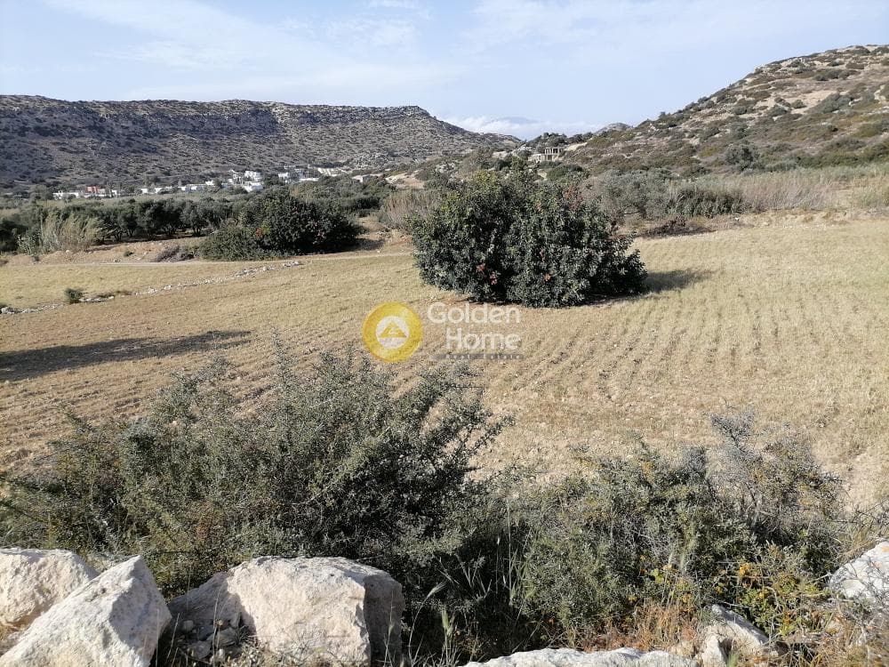 Αγροτεμάχιο στην Μάταλα, Τυμπάκι — Φωτογραφία 7 από 24