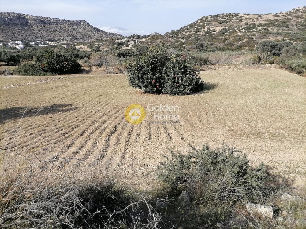 Αγροτεμάχιο στην Μάταλα, Τυμπάκι — Φωτογραφία 4 από 24