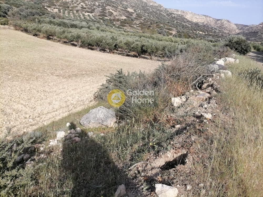 Αγροτεμάχιο στην Μάταλα, Τυμπάκι — Φωτογραφία 9 από 24