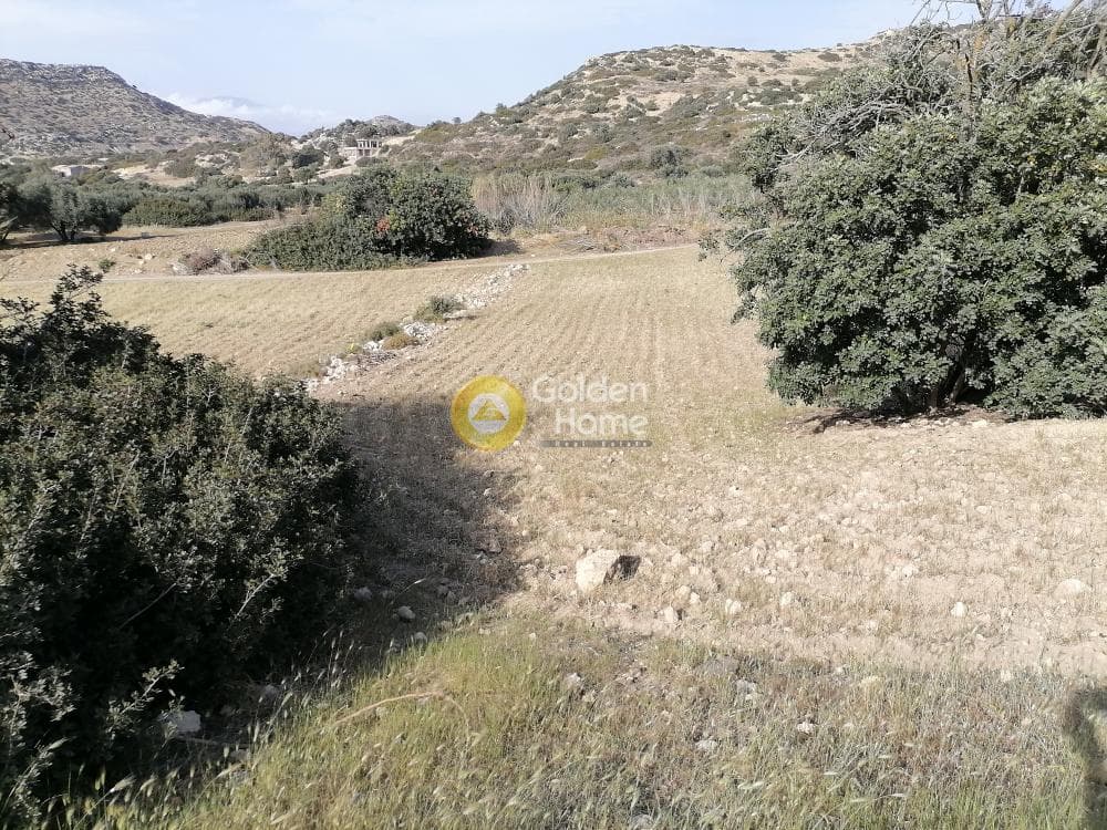 Αγροτεμάχιο στην Μάταλα, Τυμπάκι — Φωτογραφία 5 από 24