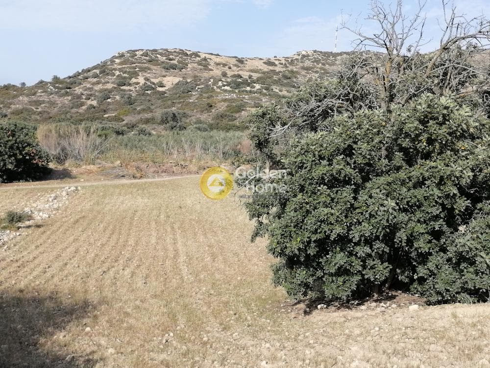 Αγροτεμάχιο στην Μάταλα, Τυμπάκι — Φωτογραφία 13 από 24
