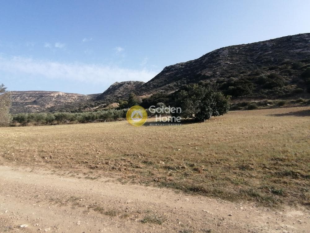 Αγροτεμάχιο στην Μάταλα, Τυμπάκι — Φωτογραφία 19 από 24