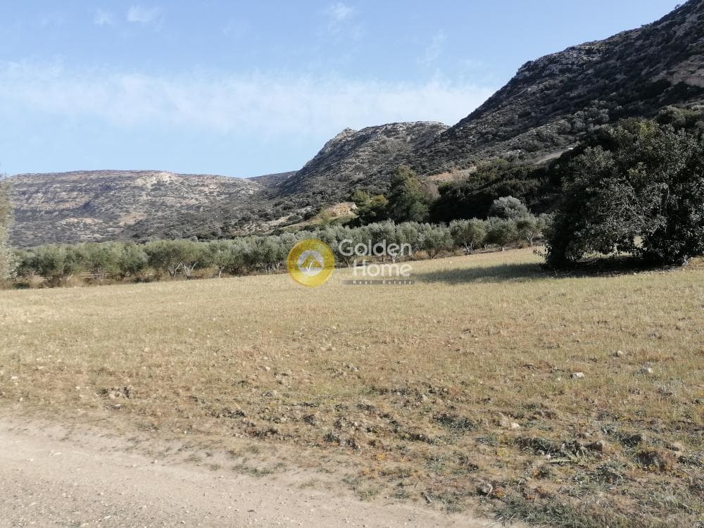 Αγροτεμάχιο στην Μάταλα, Τυμπάκι — Φωτογραφία 22 από 24
