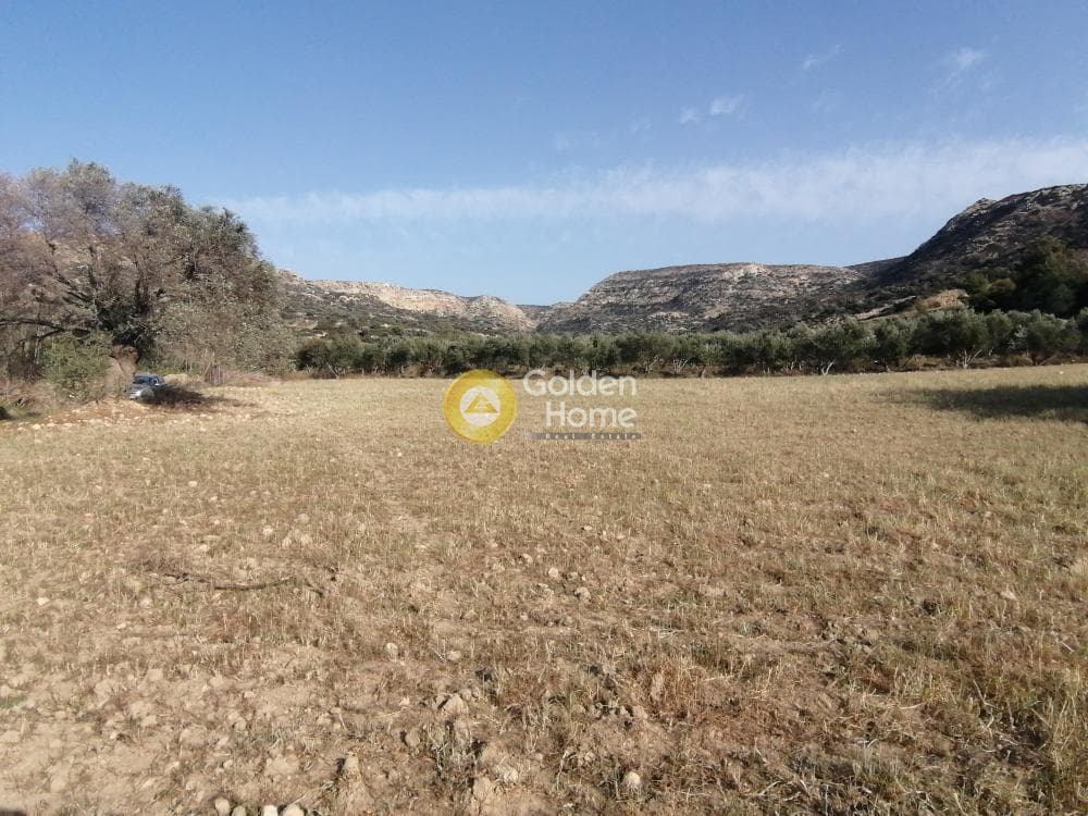 Αγροτεμάχιο στην Μάταλα, Τυμπάκι — Φωτογραφία 24 από 24