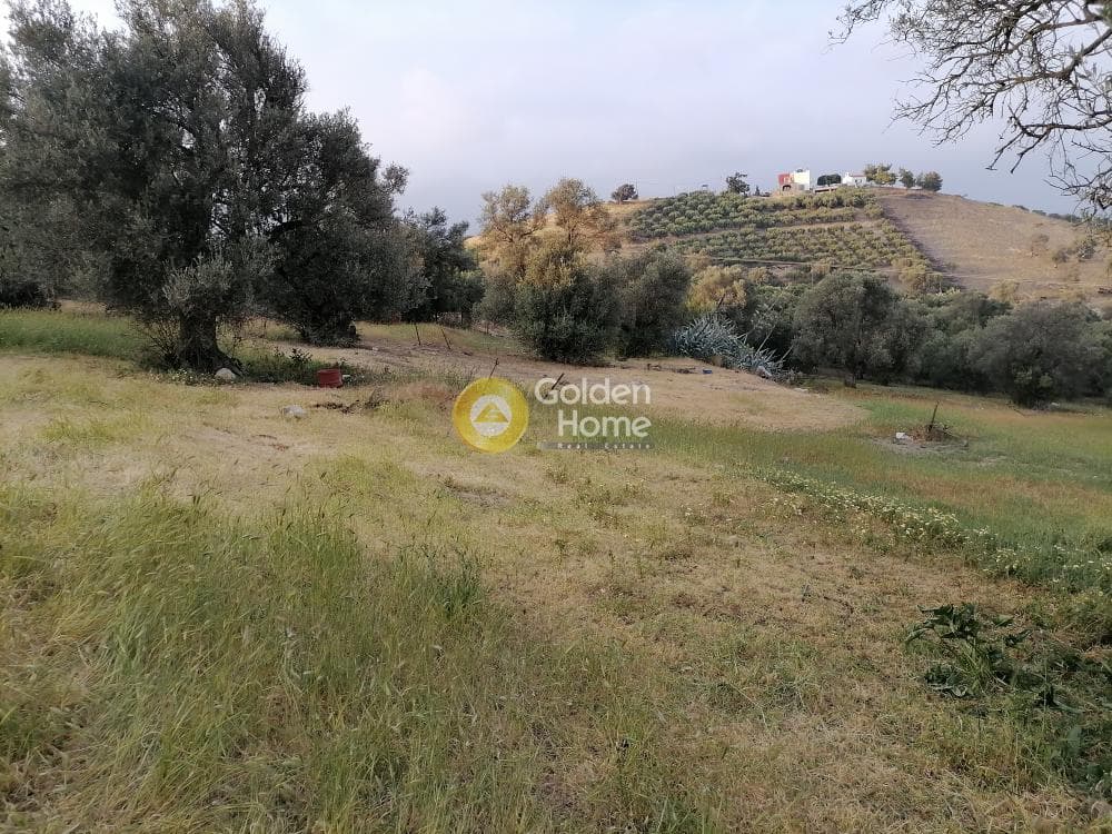 Οικόπεδο στην Κουσές, Μοίρες — Φωτογραφία 10 από 16