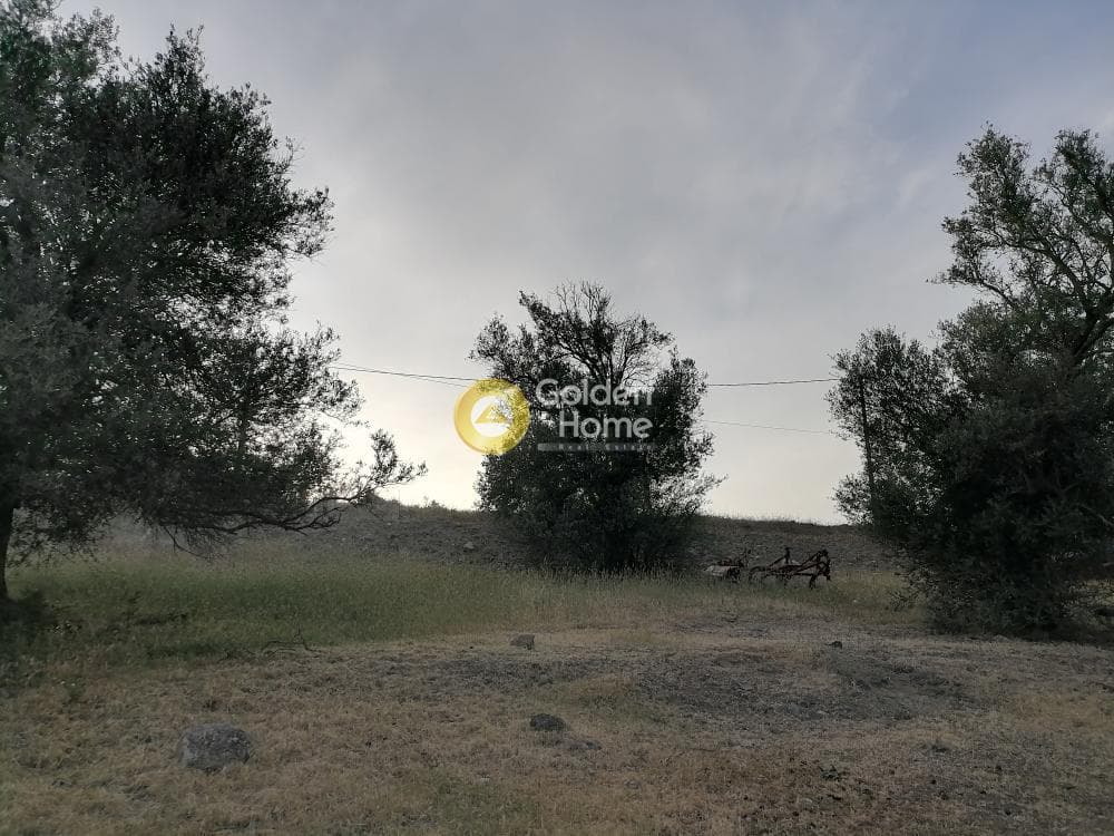 Οικόπεδο στην Κουσές, Μοίρες — Φωτογραφία 12 από 16