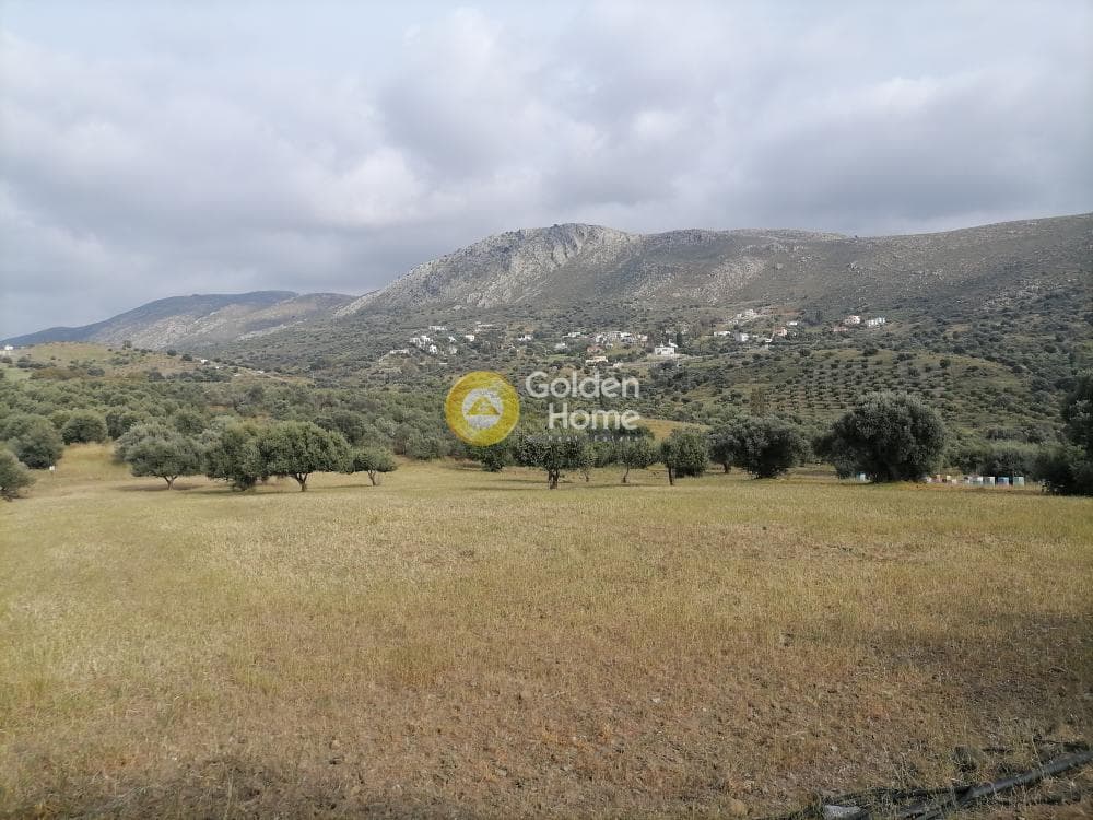 Αγροτεμάχιο στην Λίσταρος, Μοίρες — Φωτογραφία 1 από 14