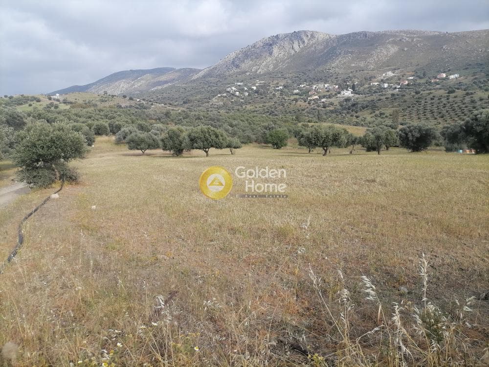 Αγροτεμάχιο στην Λίσταρος, Μοίρες — Φωτογραφία 2 από 14