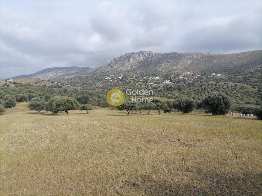 Αγροτεμάχιο στην Λίσταρος, Μοίρες — Φωτογραφία 3 από 14