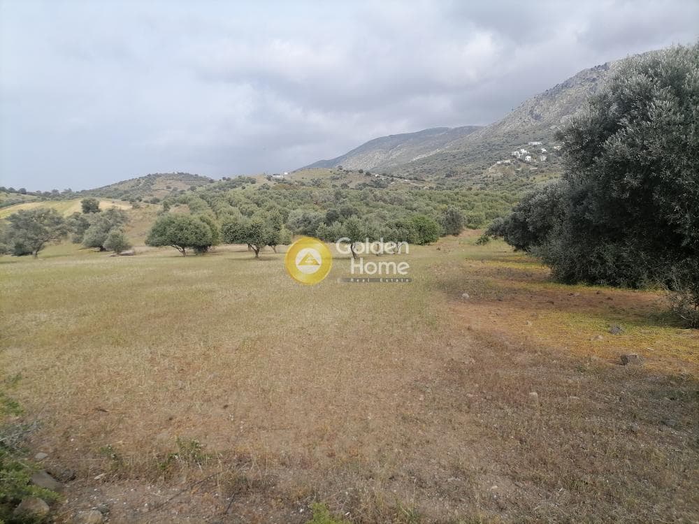 Αγροτεμάχιο στην Λίσταρος, Μοίρες — Φωτογραφία 4 από 14