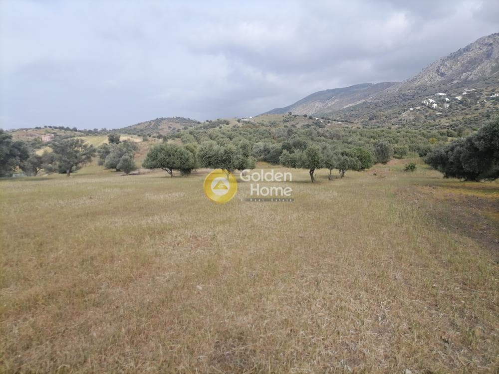 Αγροτεμάχιο στην Λίσταρος, Μοίρες — Φωτογραφία 5 από 14