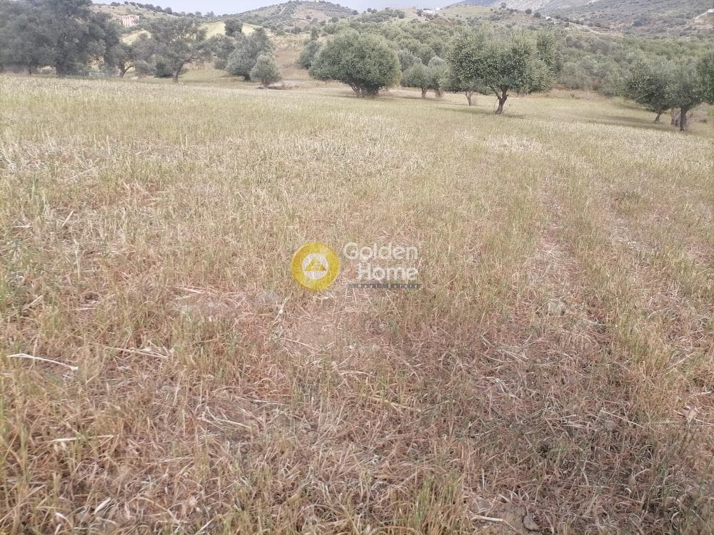 Αγροτεμάχιο στην Λίσταρος, Μοίρες — Φωτογραφία 9 από 14