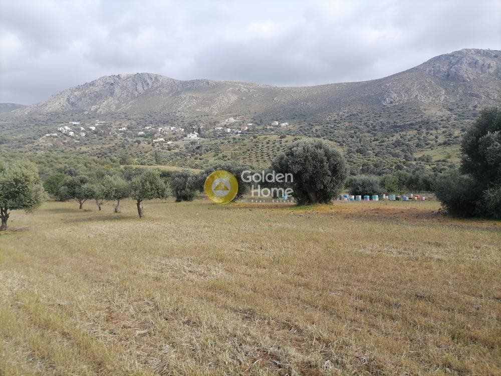Αγροτεμάχιο στην Λίσταρος, Μοίρες — Φωτογραφία 10 από 14