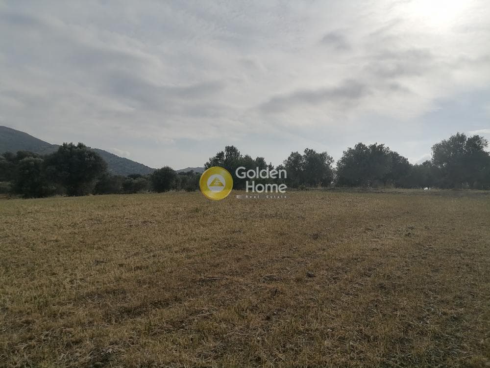 Αγροτεμάχιο στην Λίσταρος, Μοίρες — Φωτογραφία 6 από 14