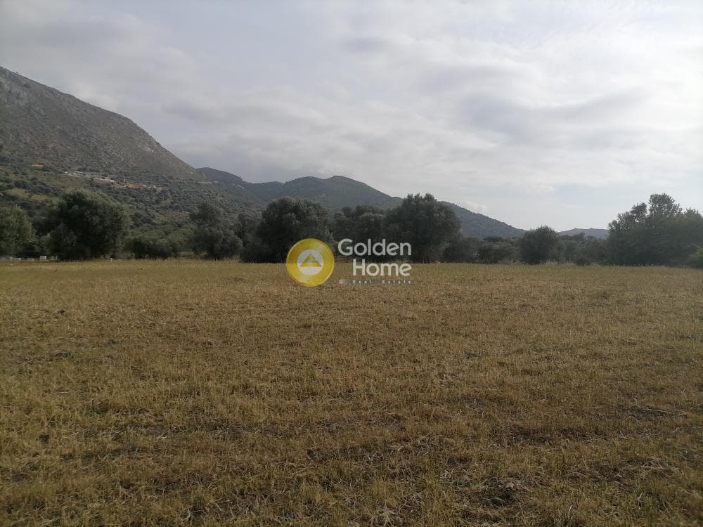 Αγροτεμάχιο στην Λίσταρος, Μοίρες — Φωτογραφία 7 από 14