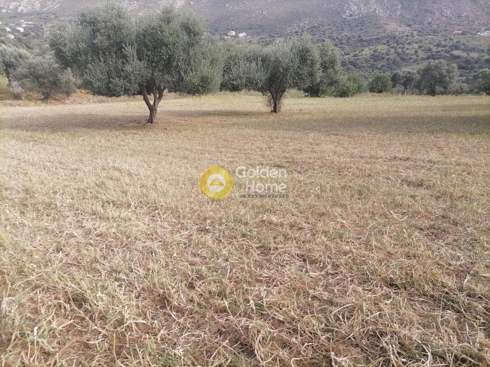 Αγροτεμάχιο στην Λίσταρος, Μοίρες — Φωτογραφία 11 από 14