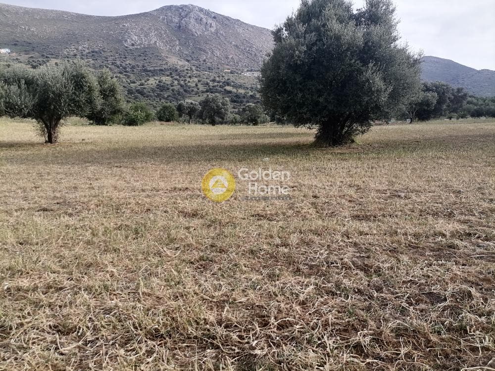 Αγροτεμάχιο στην Λίσταρος, Μοίρες — Φωτογραφία 12 από 14