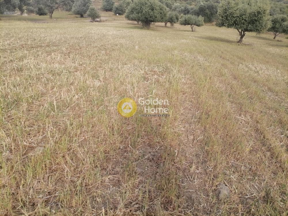 Αγροτεμάχιο στην Λίσταρος, Μοίρες — Φωτογραφία 13 από 14