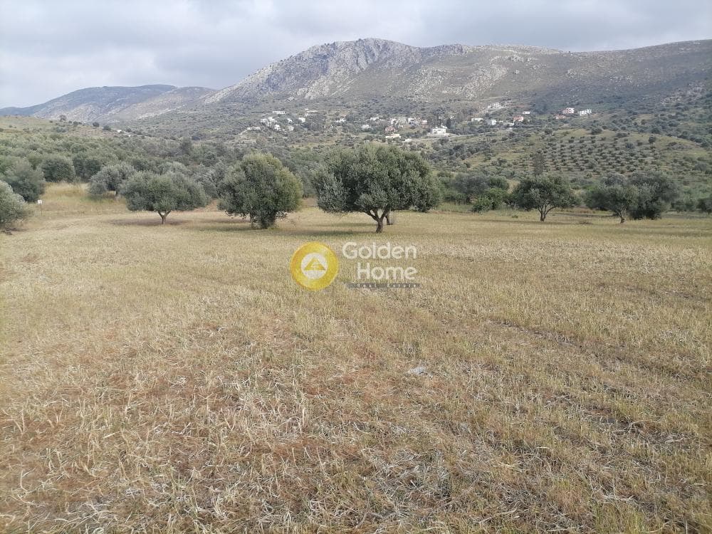 Αγροτεμάχιο στην Λίσταρος, Μοίρες — Φωτογραφία 14 από 14