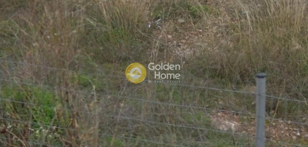 Building Plot in Vorineza, Artemida (Loutsa) — Photo 2 of 2