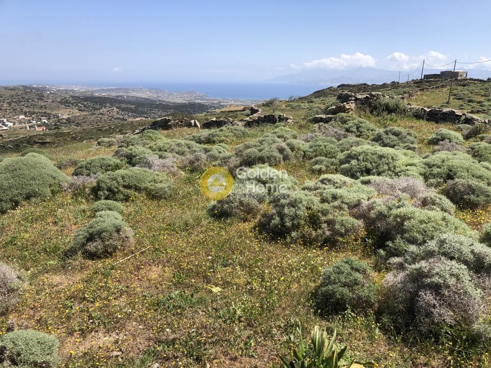 Οικόπεδο στην Λεύκες, Πάρος — Φωτογραφία 8 από 30