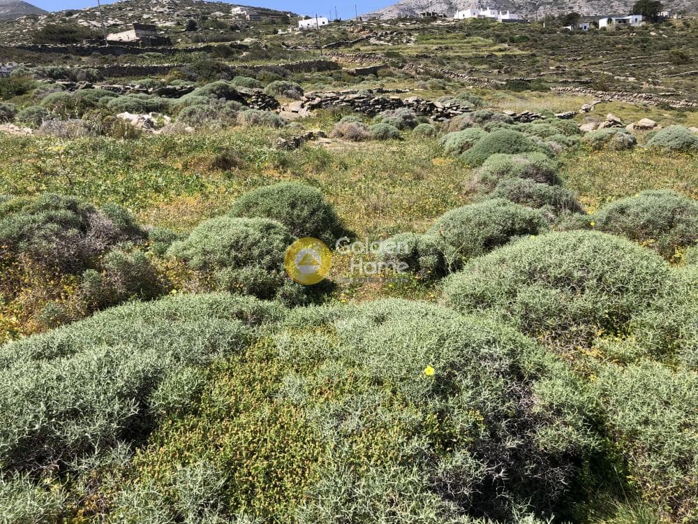 Οικόπεδο στην Λεύκες, Πάρος — Φωτογραφία 25 από 30