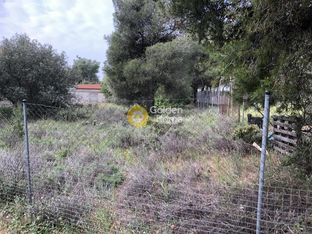 Building Plot in Megala Sxoinia A, Acharnes — Photo 2 of 3