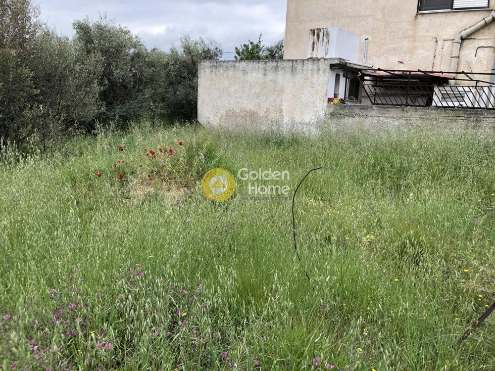 Οικόπεδο στην Πυργούθι, Αχαρνές — Φωτογραφία 2 από 3