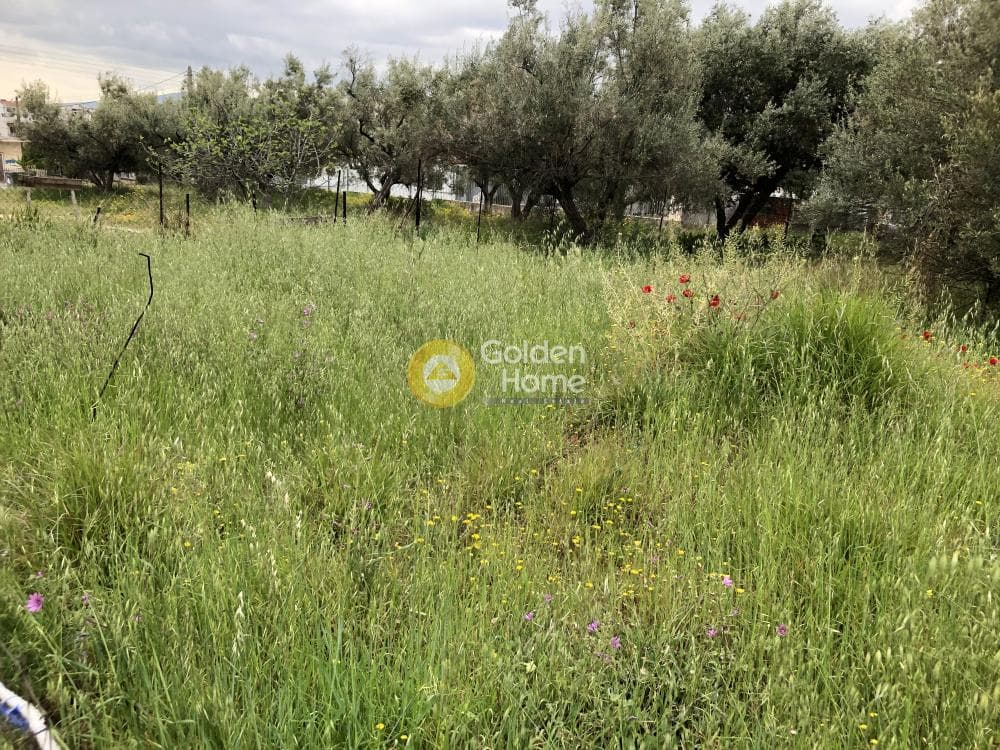 Οικόπεδο στην Πυργούθι, Αχαρνές — Φωτογραφία 3 από 3