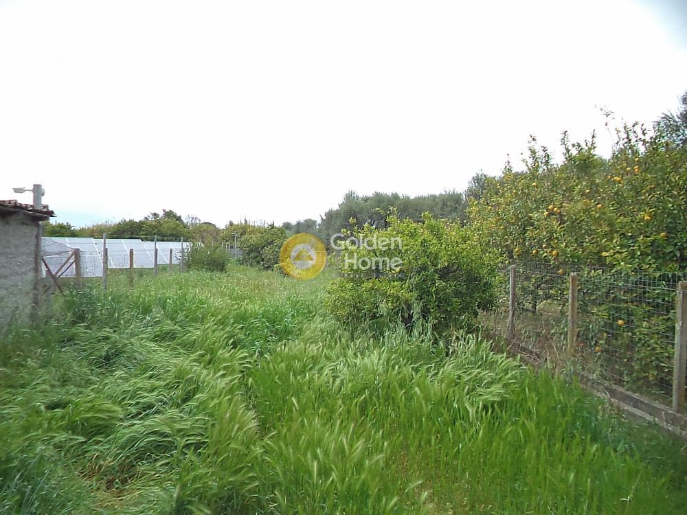 House in Rodia, Diakopto — Photo 11 of 13