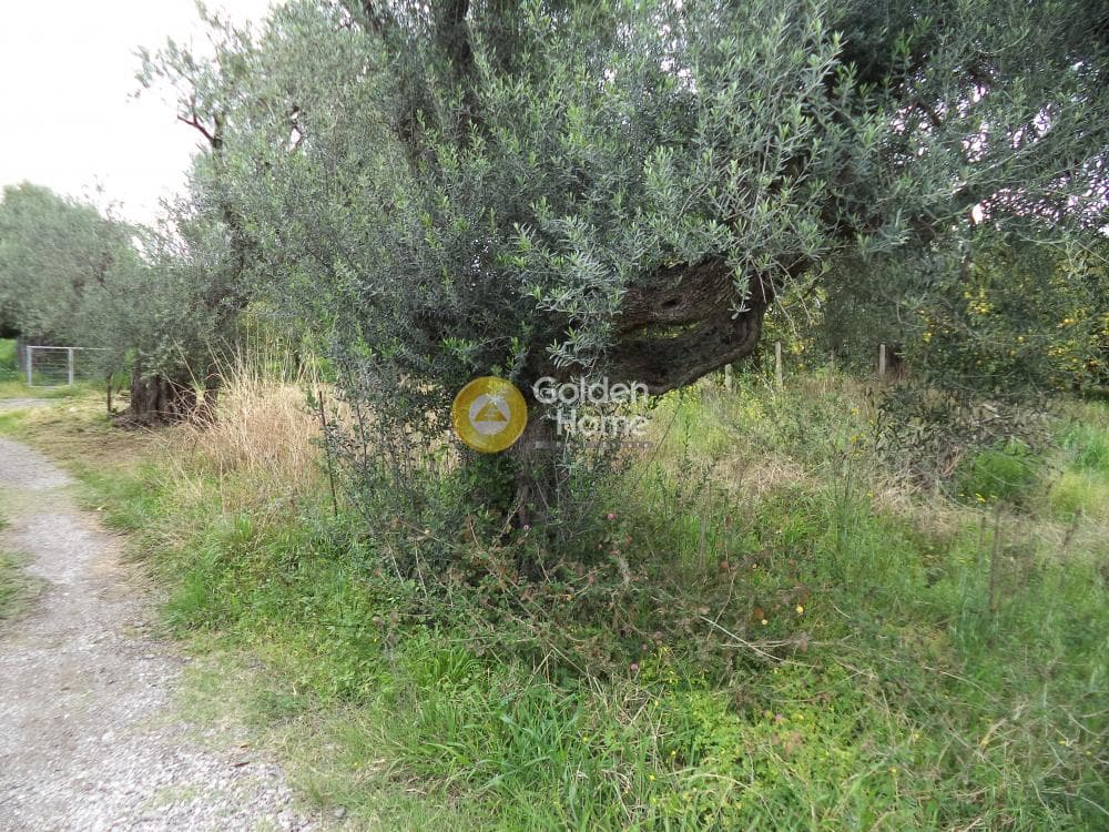 House in Rodia, Diakopto — Photo 12 of 13