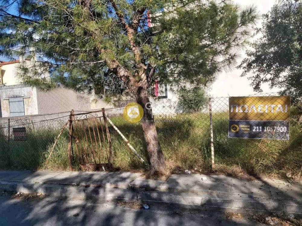 Οικόπεδο στην Ζωφριά, Ζεφύρι — Φωτογραφία 4 από 5