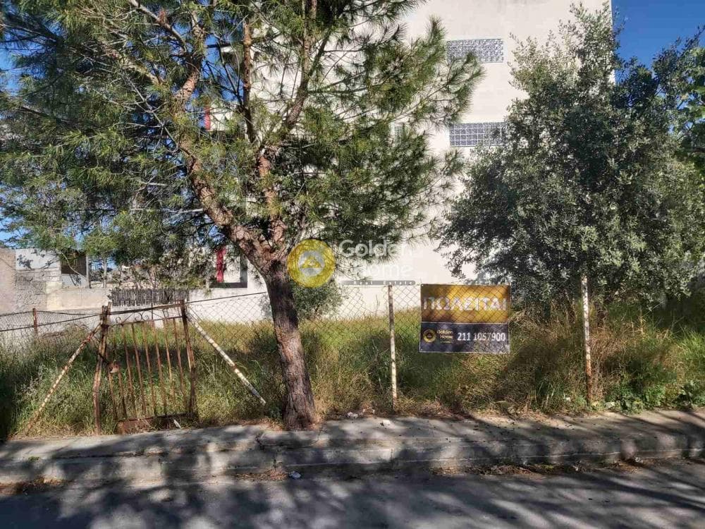 Οικόπεδο στην Ζωφριά, Ζεφύρι — Φωτογραφία 1 από 5