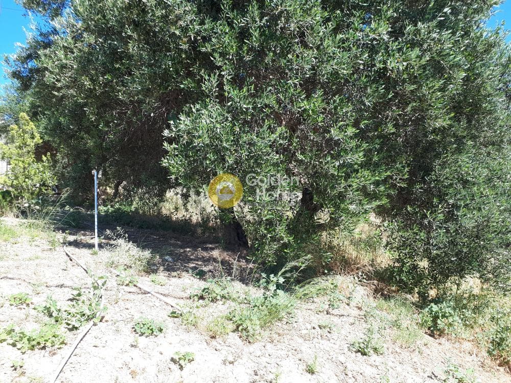 Building Plot in Drakouliaris, Temenos — Photo 2 of 2