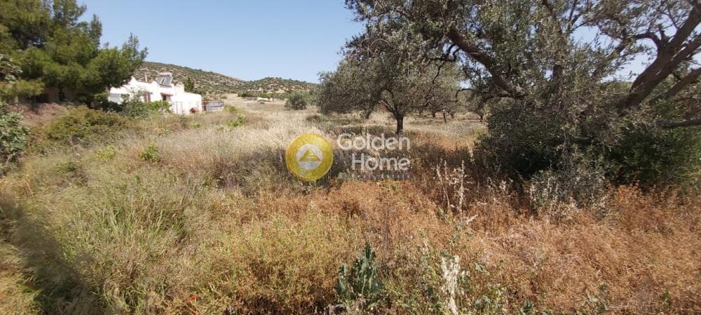 Parcel in Lamprika, Koropi — Photo 2 of 11