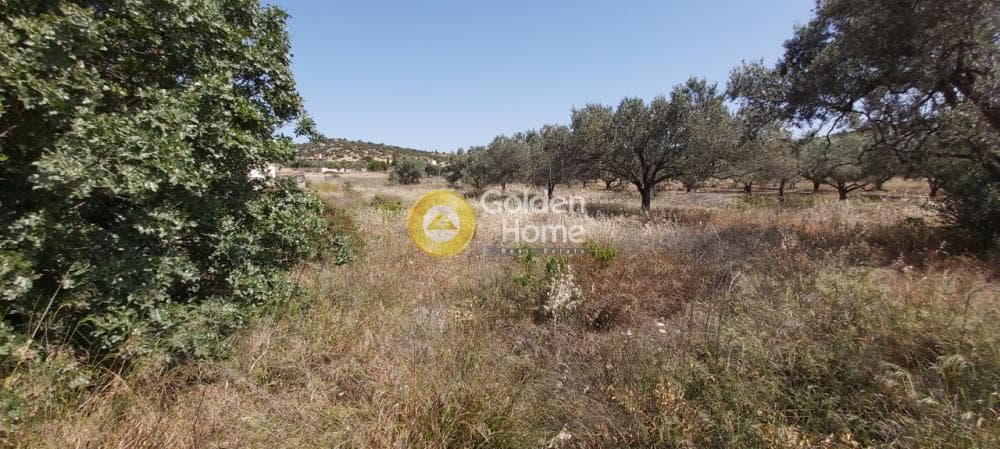 Parcel in Lamprika, Koropi — Photo 3 of 11