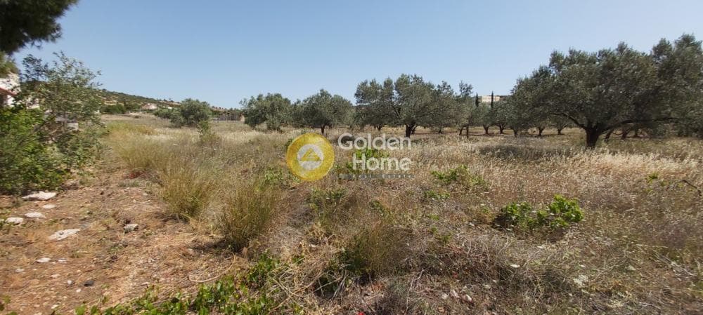 Parcel in Lamprika, Koropi — Photo 4 of 11