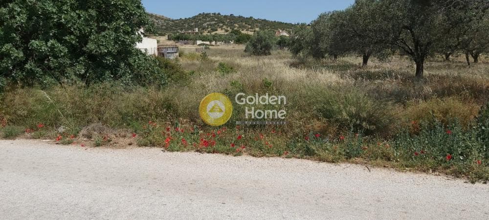 Parcel in Lamprika, Koropi — Photo 5 of 11