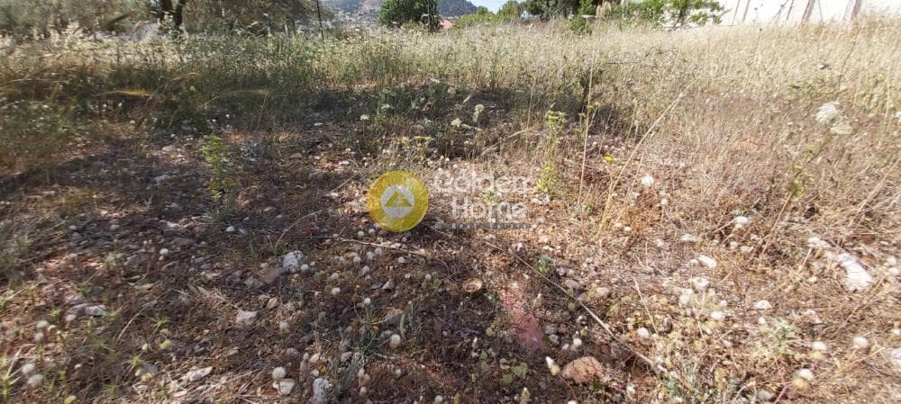 Parcel in Lamprika, Koropi — Photo 6 of 11