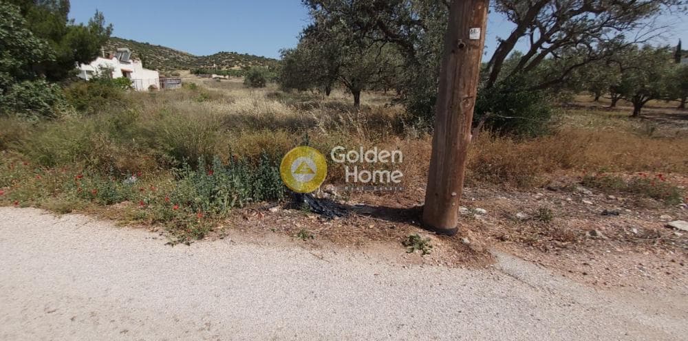 Parcel in Lamprika, Koropi — Photo 9 of 11