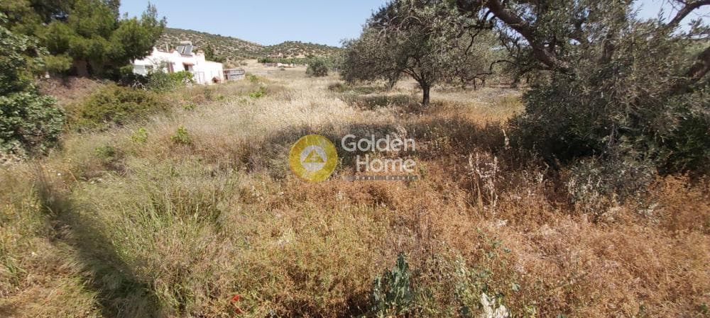 Parcel in Lamprika, Koropi — Photo 11 of 11