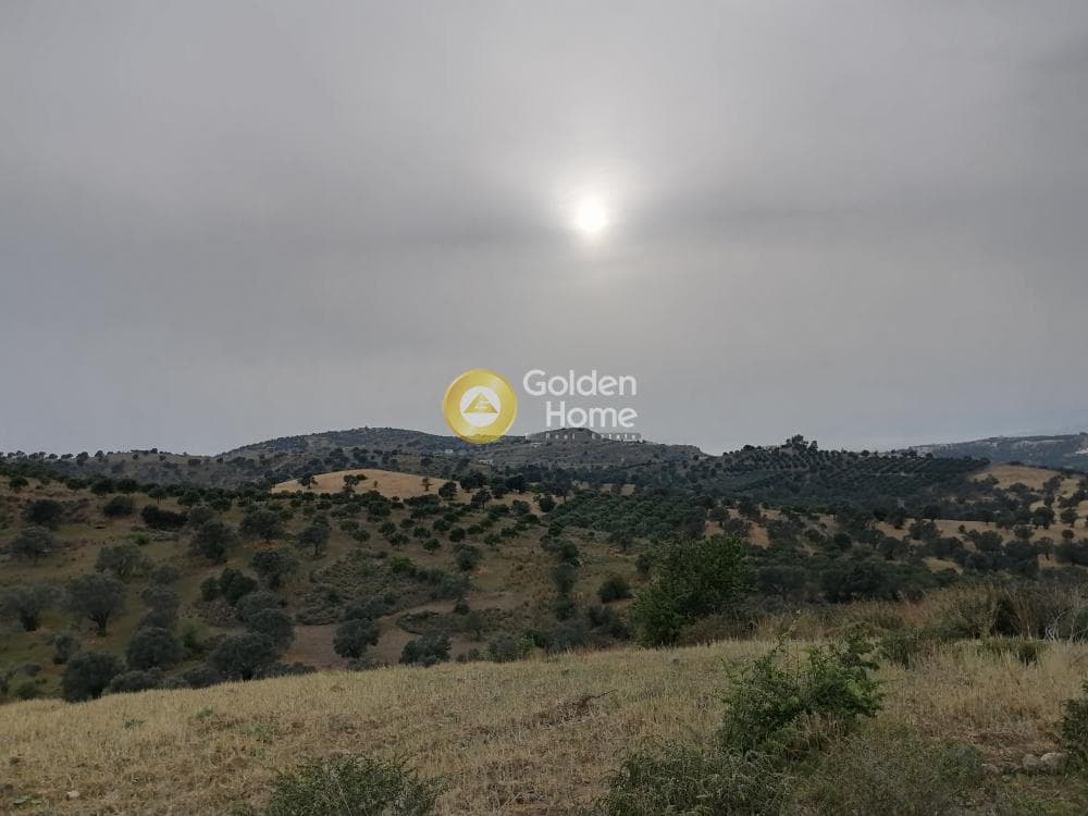 Parcel in Pitsidia, Timpaki — Photo 1 of 23