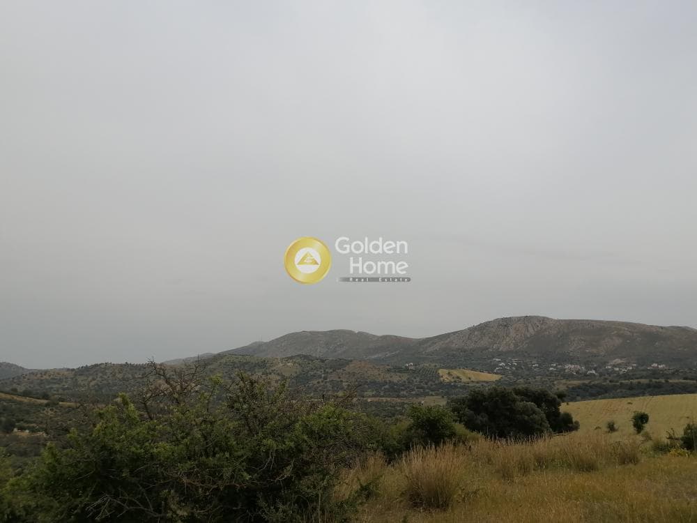 Parcel in Pitsidia, Timpaki — Photo 2 of 23