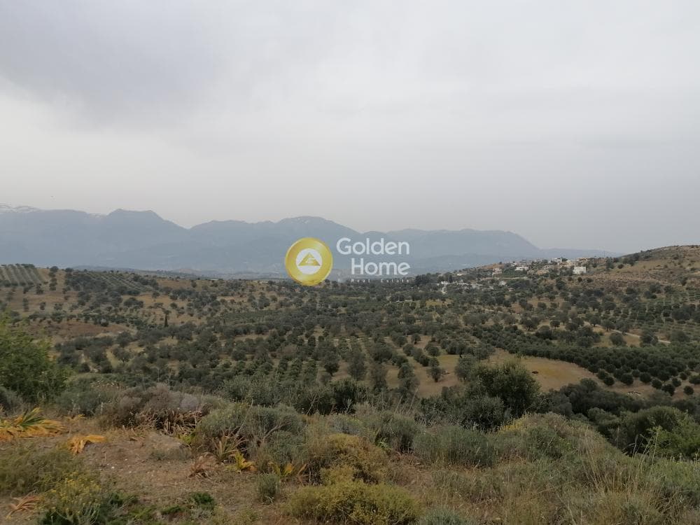 Parcel in Pitsidia, Timpaki — Photo 3 of 23