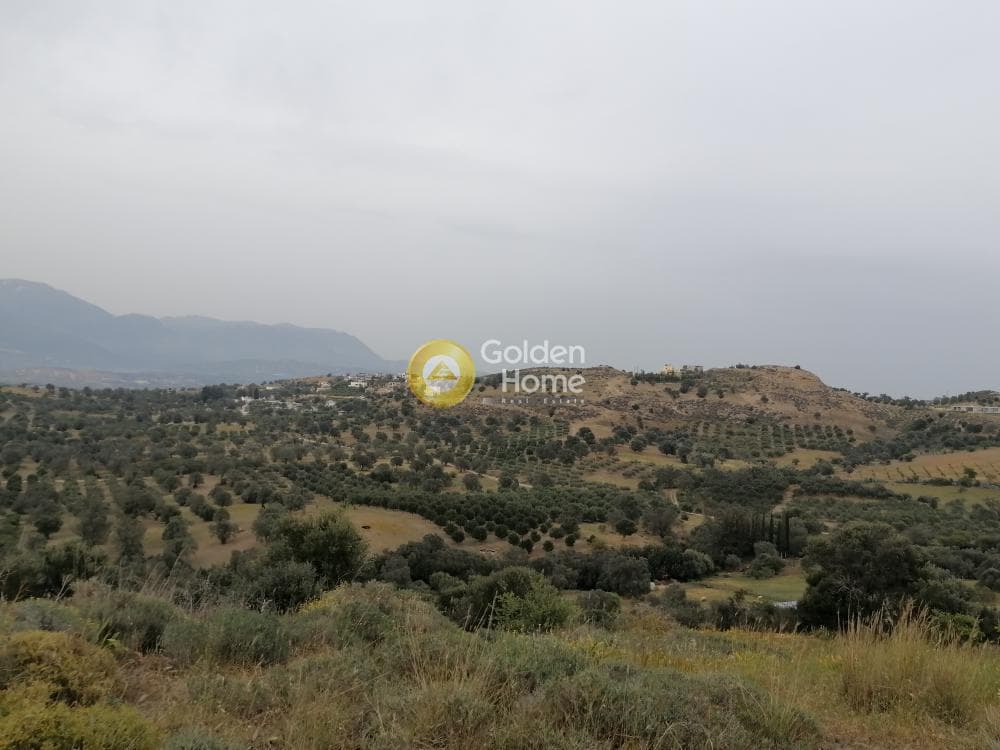 Parcel in Pitsidia, Timpaki — Photo 4 of 23