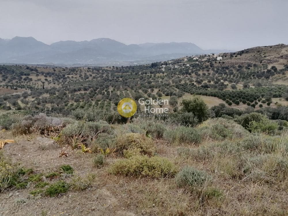 Parcel in Pitsidia, Timpaki — Photo 5 of 23